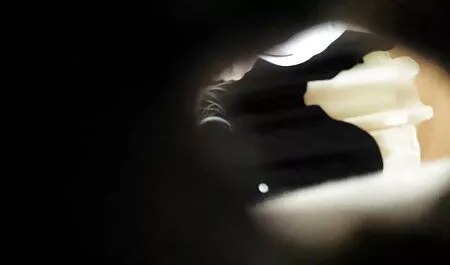 タイユリ av 女性 無料