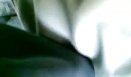いまいましい選択された動物の雌牛 えっち 女性 動画